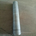 galvanized hexagonal wire mesh/ chicken wire / PVC coated chicken fence